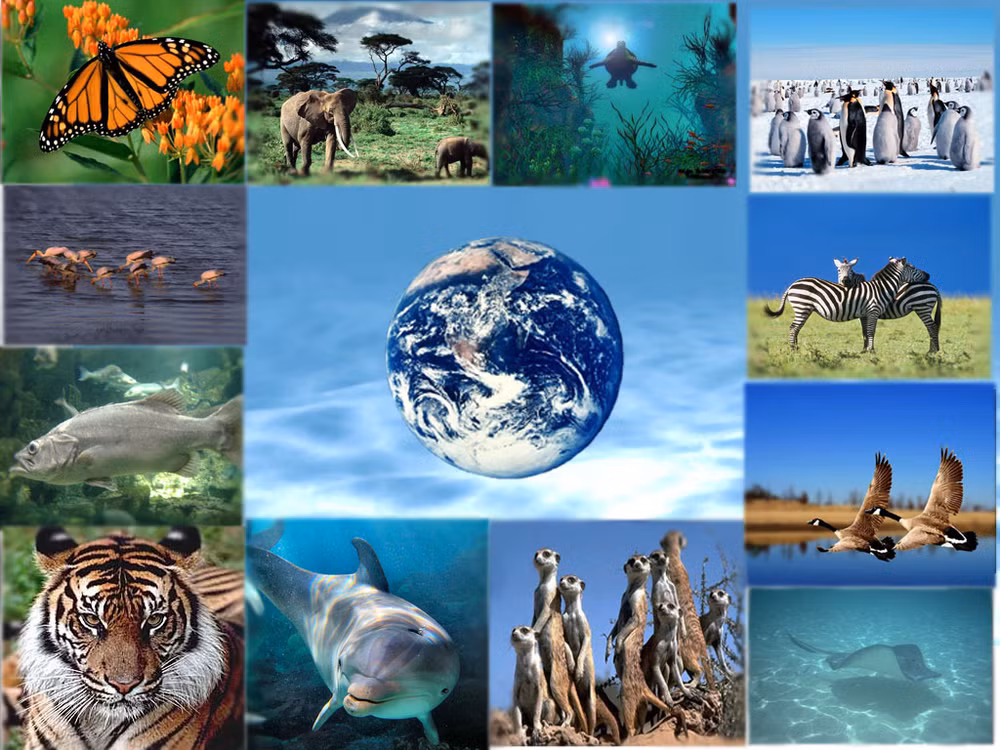 Efectúan seminario sobre cambio climático y biodiversidad en Vietnam ảnh 1