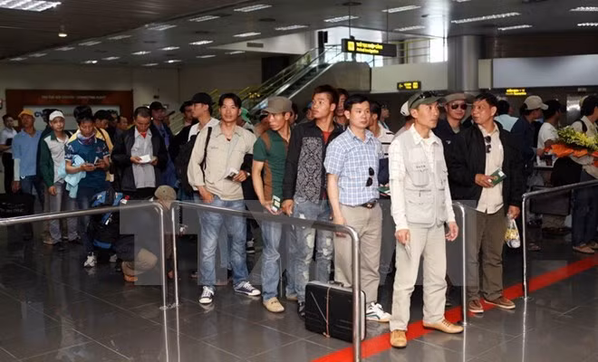 Oficinas representativas de Vietnam en exterior protegen derechos de ciudadanos en ultramar ảnh 1