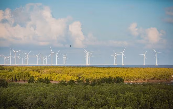 Sector de energía eólica en Vietnam acapara atención de inversores extranjeros ảnh 1 Sector de energía eólica en Vietnam acapara atención de inversores extranjeros ảnh 1