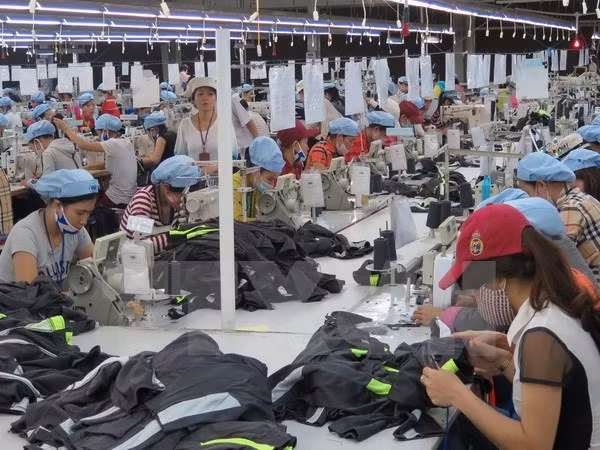 Las confecciones textiles de Vietnam cierran 2017 con crecimiento de 10,23 por ciento ảnh 1