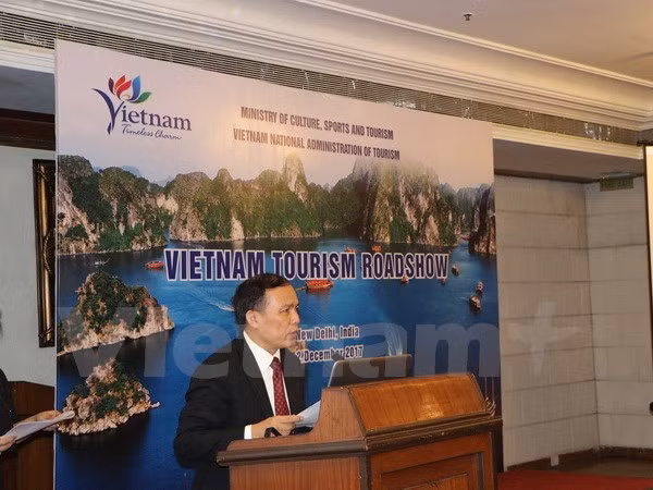 Vietnam promueve el turismo en India ảnh 1