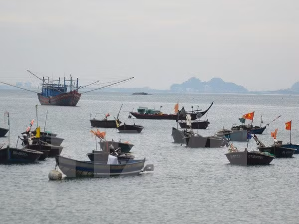 La ASEAN analiza la gestión de contaminación marina ảnh 1