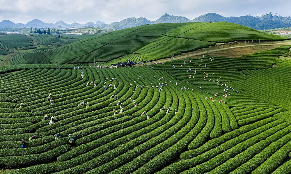 Premios internacionales afirman marca turística de Vietnam ảnh 1