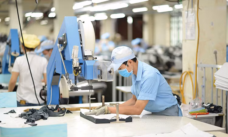 Vietnam se esfuerza por eliminar dificultades para producción de fin de año ảnh 1