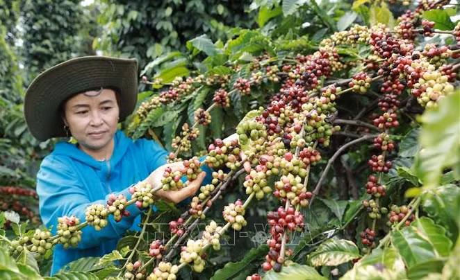Productos vietnamitas podrán alcanzar metas de exportación para fines de 2022 ảnh 1