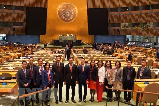 Vietnam afirma su papel como socio confiable de la comunidad internacional ảnh 2