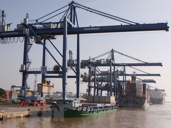 Vietnam busca desarrollar flota de transporte marítimo internacional ảnh 2