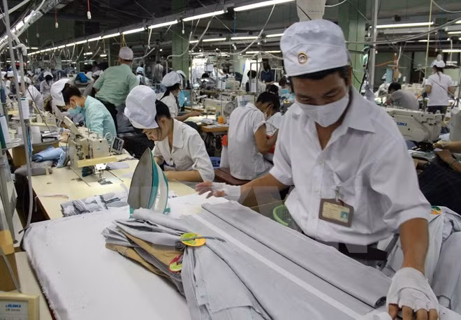 Principales exportaciones de Vietnam se benefician de TLC con UEE ảnh 1