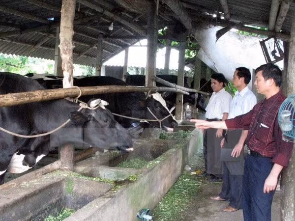 Elogian cooperación en educación agrícola entre Vietnam y Bélgica ảnh 1