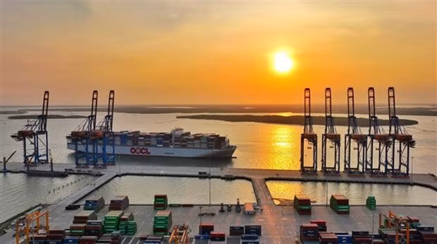 Modelo de zona de libre comercio vinculada a puertos marítimos en Ba Ria-Vung Tau aporta oportunidades ảnh 1