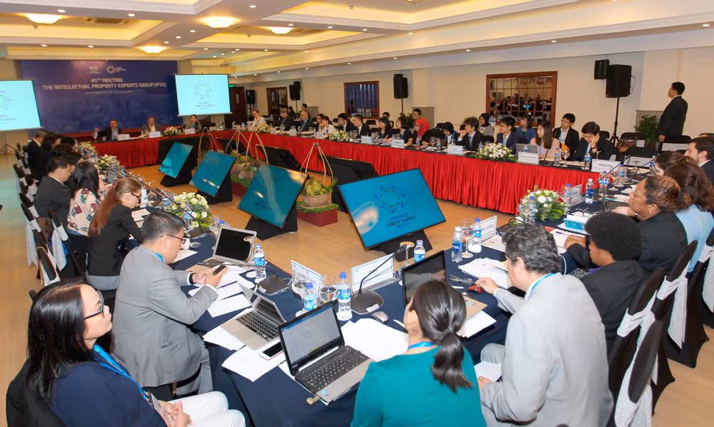 Vietnam promueve presentación electrónica en registro de propiedad intelectual ảnh 1
