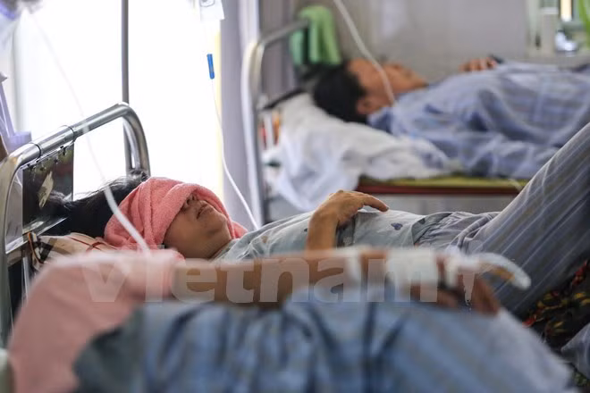 Fallecen seis personas por dengue en Hanoi en últimas dos semanas ảnh 1