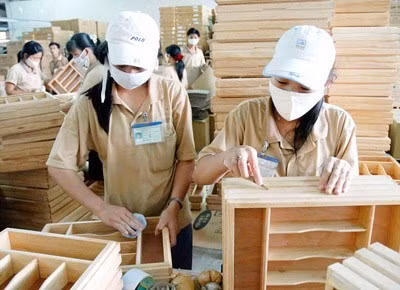 Participarán empresas extranjeras en feria del sector maderero de Vietnam ảnh 1