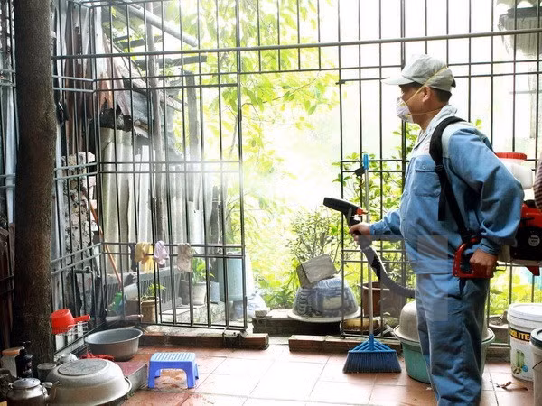 Vietnam registra más de 90 mil casos de dengue ảnh 1