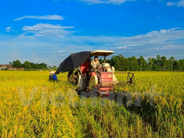 Vietnam propone soluciones para desarrollo del sector agrícola y seguridad alimentaria ảnh 1