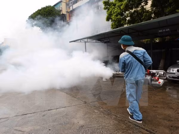 Hanoi logra aliviar presión provocada por dengue ảnh 1
