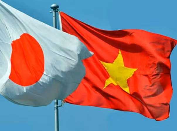 Voluntarios de Cruz Roja de Japón y Vietnam plantan manglares ảnh 1