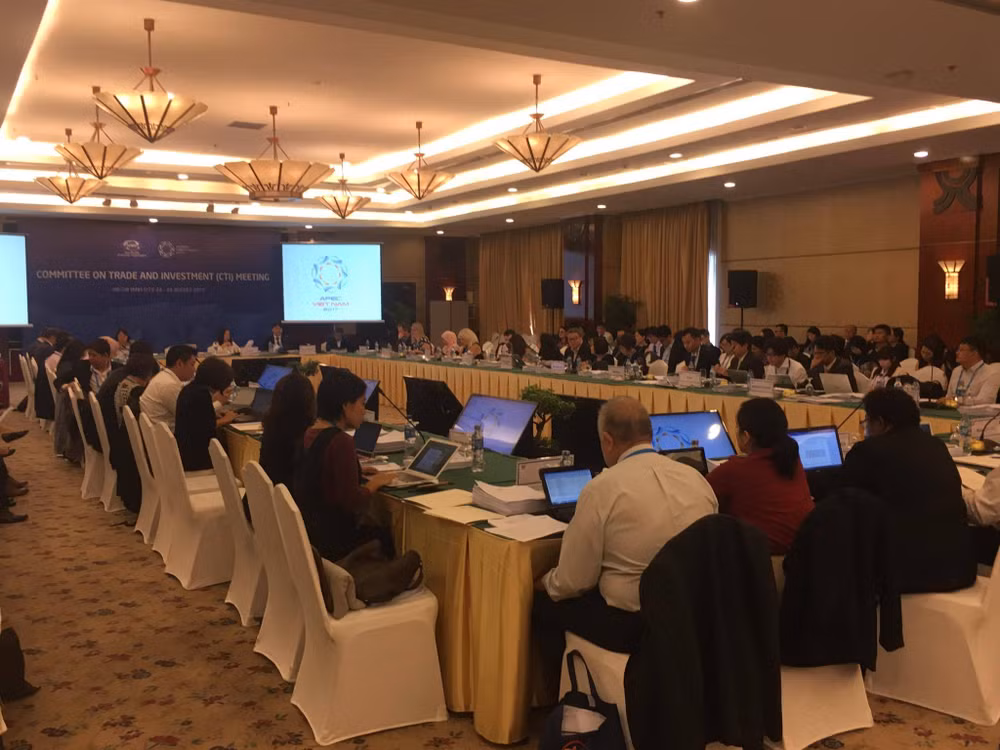 Vietnam propone medidas para mejorar comercio electrónico del APEC ảnh 1