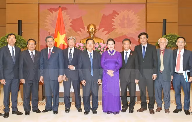 Presidenta parlamentaria resalta aportes de Comités de Paz a nexos Vietnam-Laos ảnh 1