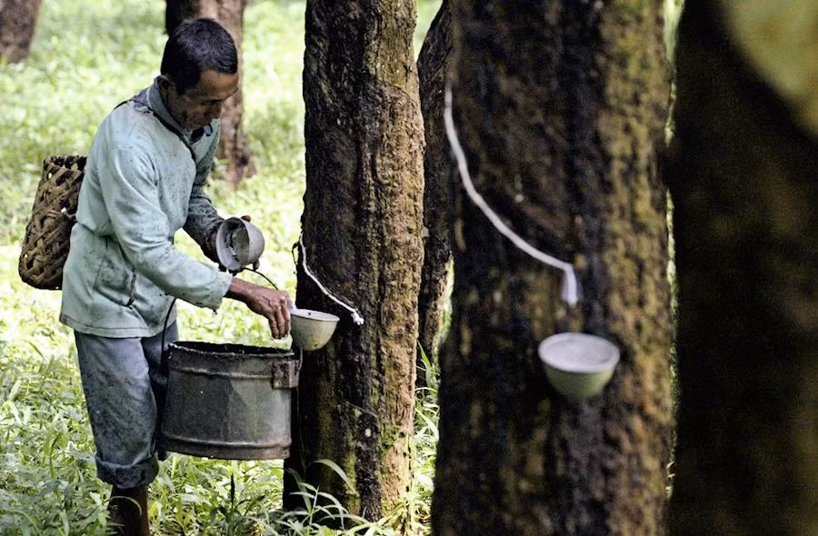 Tailandia promueve el uso de caucho ảnh 1