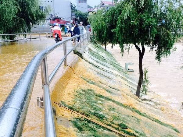 Localidad vietnamita implementa medidas contra inundaciones ảnh 1