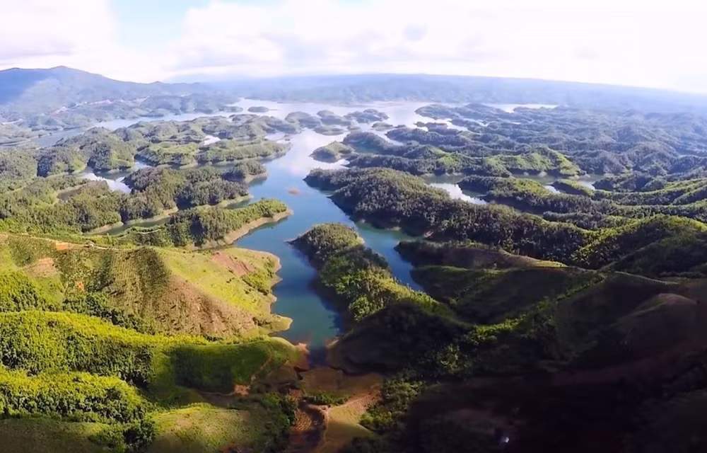 Vietnam se empeña en multiplicar las “acciones verdes” ảnh 1