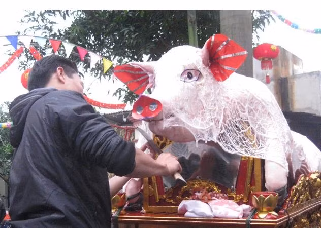 Especial ceremonia de Procesión de Cerdos en Vietnam ảnh 2