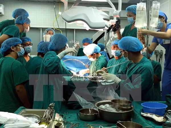 Ministerio de Salud de Malasia sube costo de servicios sanitarios a extranjeros ảnh 1