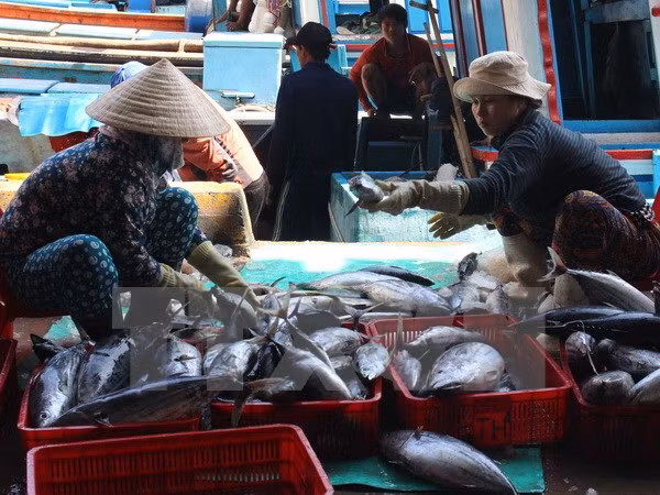 Mercado de productos acuáticos en Centro de Vietnam se recupera de incidente ambiental ảnh 1
