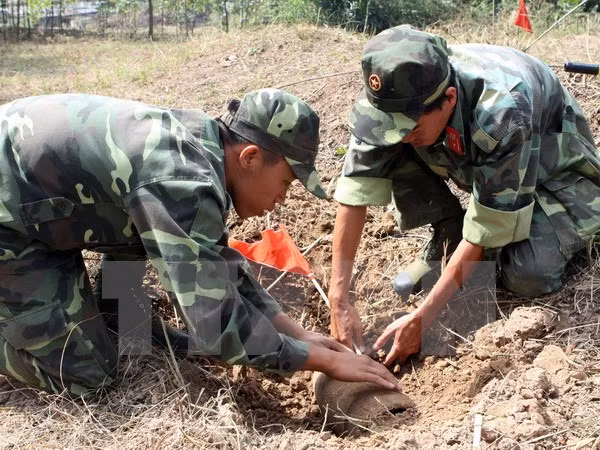 Desactivan una bomba de 240 kilógramos en provincia de Vietnam ảnh 1