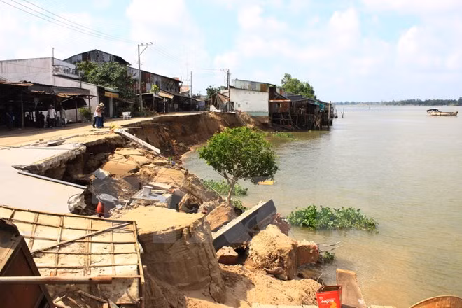 Vietnam acelera construcción de viviendas resilientes en Delta del Mekong ảnh 1 Vietnam acelera construcción de viviendas resilientes en Delta del Mekong ảnh 1