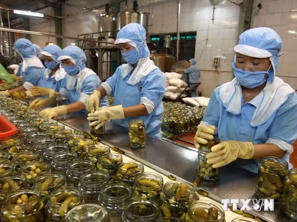 Registran aumento de exportaciones agroforestales de Vietnam ảnh 1 Registran aumento de exportaciones agroforestales de Vietnam ảnh 1