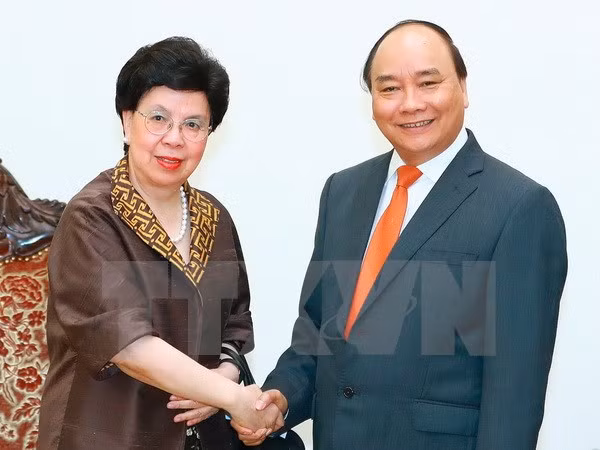 Vietnam aspira a mayor ayuda de Organización Mundial de Salud ảnh 1