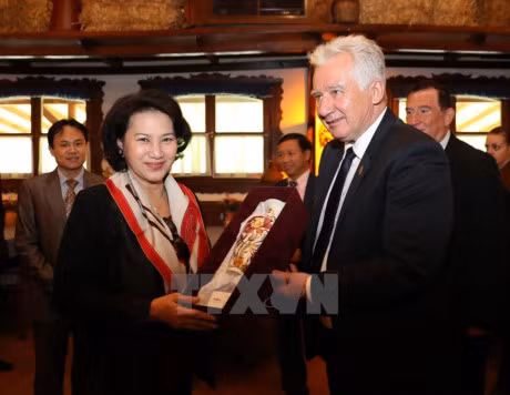 Vietnam y Hungría fortalecen nexos de amistad tradicional ảnh 1