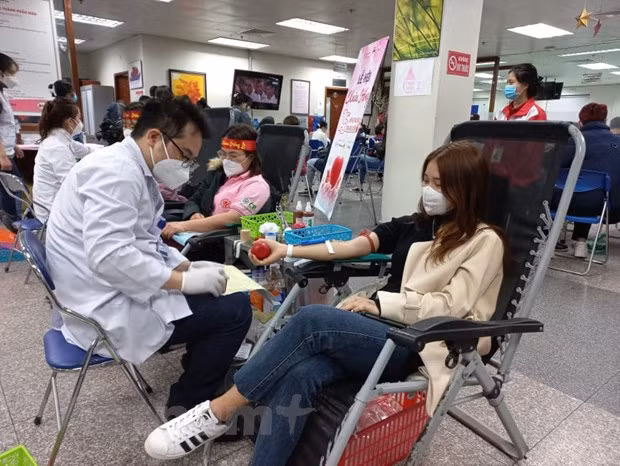 Inauguran mayor festival de donación de sangre de Vietnam ảnh 1