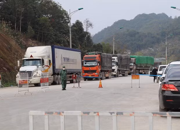 Despacho de mercancías en puertas fronterizas de Vietnam con China enfrenta dificultades ảnh 1