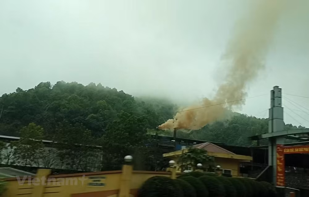 Vietnam trabaja por proteger la capa de ozono ảnh 1