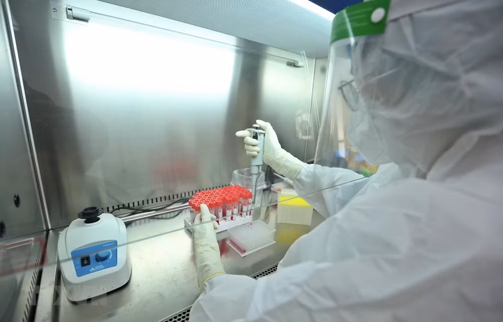 Vietnam reporta reducción de casos del COVID-19 ảnh 1