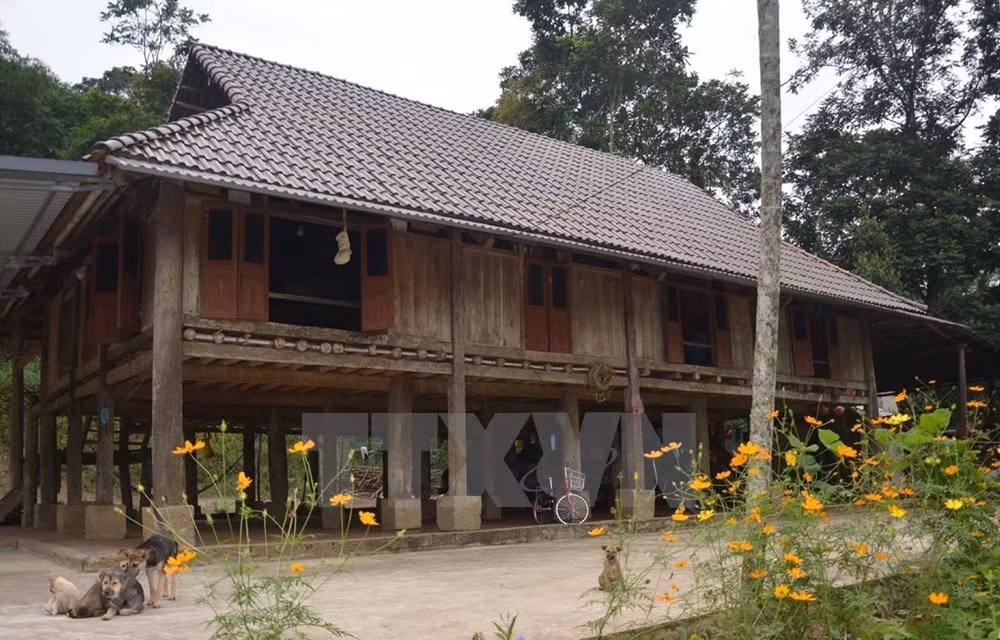 Palafitos únicos de la minoría étnica Muong en provincia vietnamita de Thanh Hoa ảnh 1
