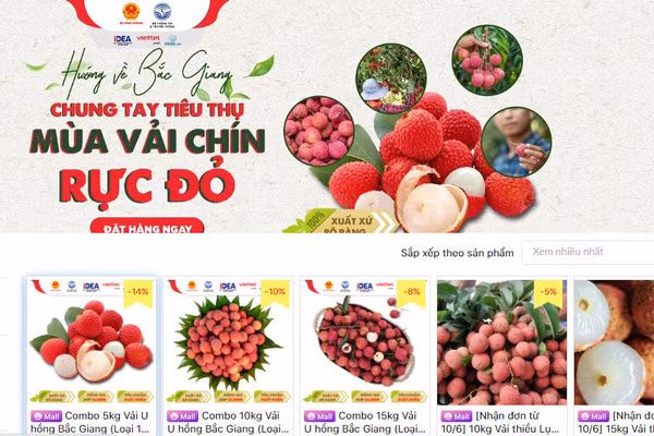 Provincia vietnamita de Bac Giang promueve consumo de productos agrícolas en plataformas electrónicos ảnh 1
