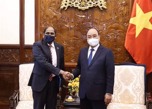 Presidente vietnamita recibe a embajadores de Singapur y Egipto ảnh 1