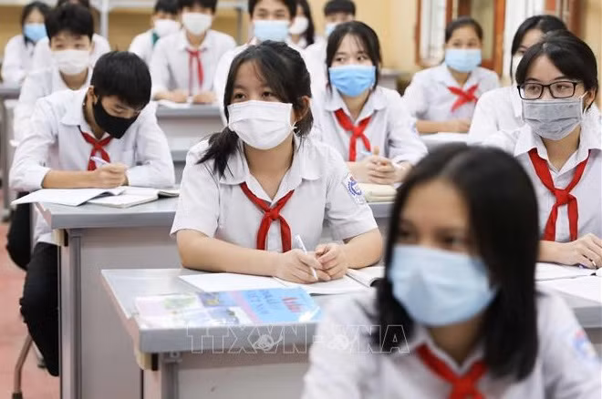 Vicepremier vietnamita pide medidas seguras y flexibles para el regreso a las escuelas ảnh 1 Vicepremier vietnamita pide medidas seguras y flexibles para el regreso a las escuelas ảnh 1