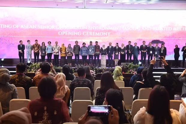 Participa activamente Vietnam en mecanismo de ASEAN sobre entorno ảnh 1
