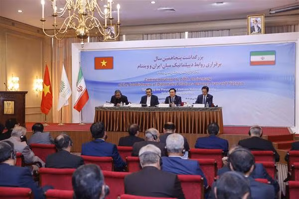 Vietnam e Irán fortalecen conexiones de cooperación bilateral ảnh 2