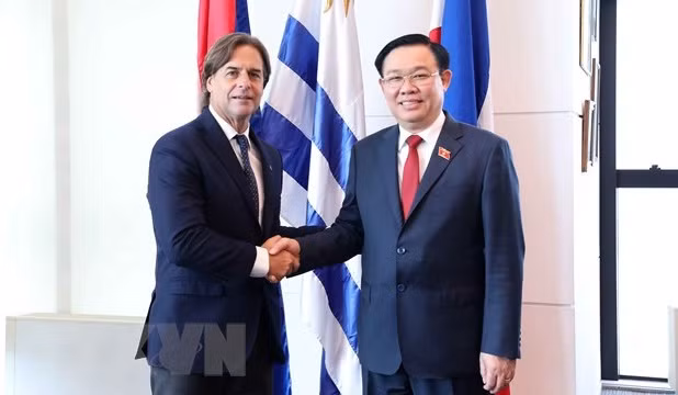 Relaciones tradicionales entre Vietnam y Uruguay alcanzan logros destacados ảnh 1