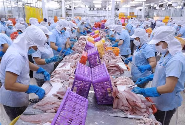 Experto alemán evalúa positivamente ventajas brindadas por EVFTA ảnh 1