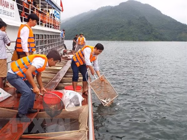 Vietnam proyecta plan para protección y explotación de recursos acuáticos ảnh 1 Vietnam proyecta plan para protección y explotación de recursos acuáticos ảnh 1
