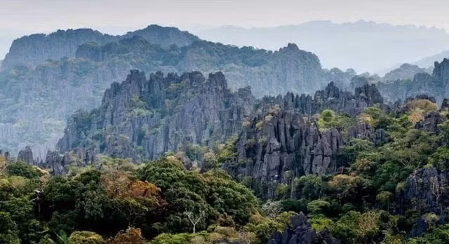 Vietnam apoya a Laos para lograr reconocimiento de reserva natural como Patrimonio de la Humanidad ảnh 1