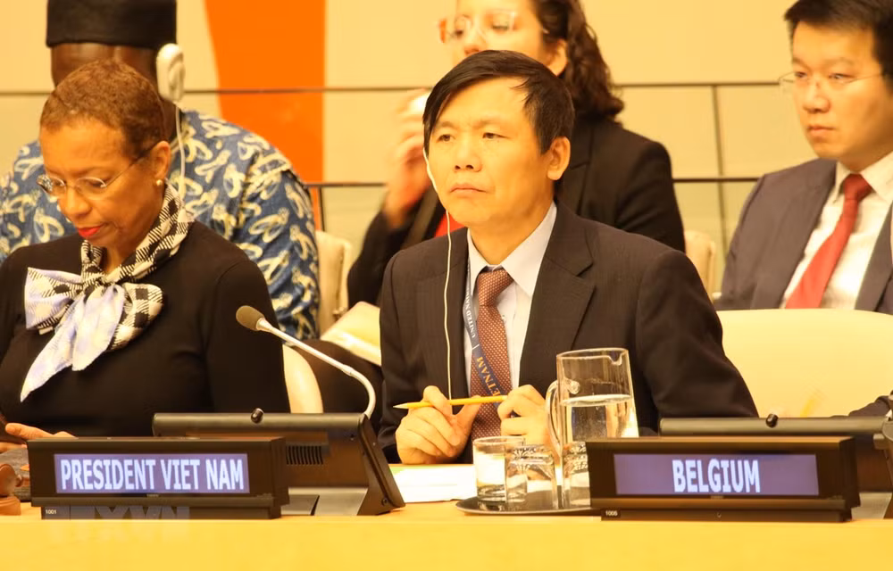 Vietnam llama a garantizar seguridad de civiles malienses ảnh 1