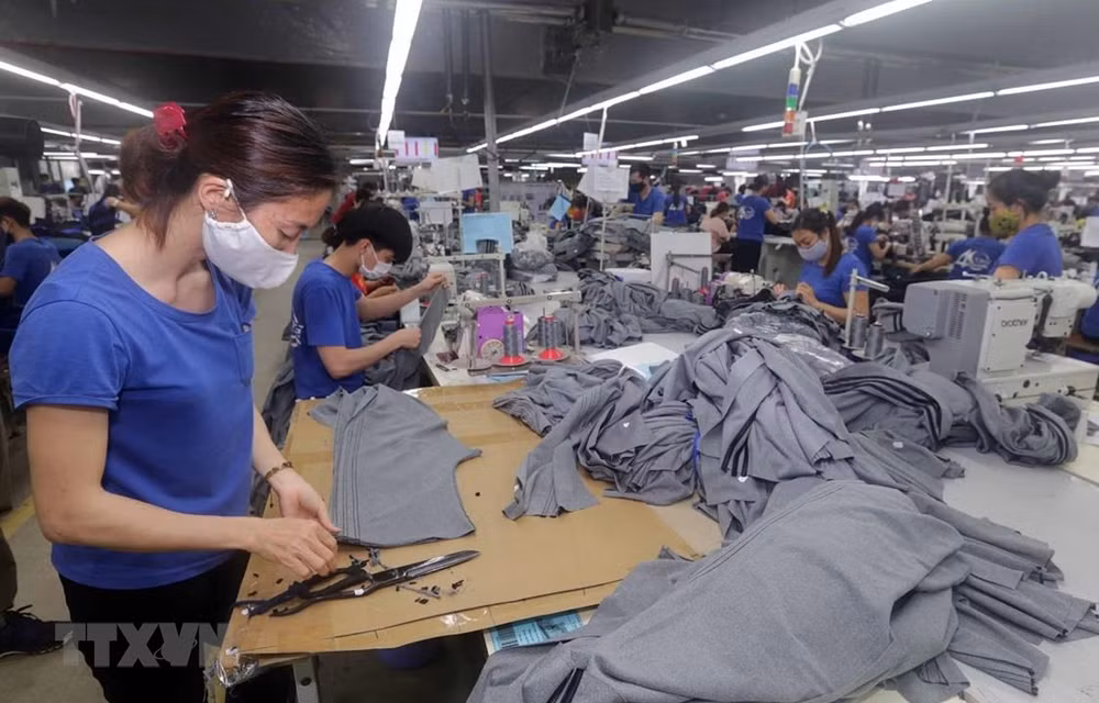 OIT publica informe sobre efectos de COVID-19 en mercado laboral de Vietnam ảnh 1